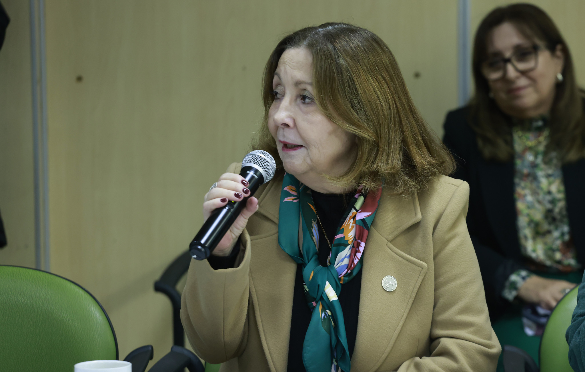 Decana Gisela Alarcón en Consejo Nacional de Salud 1