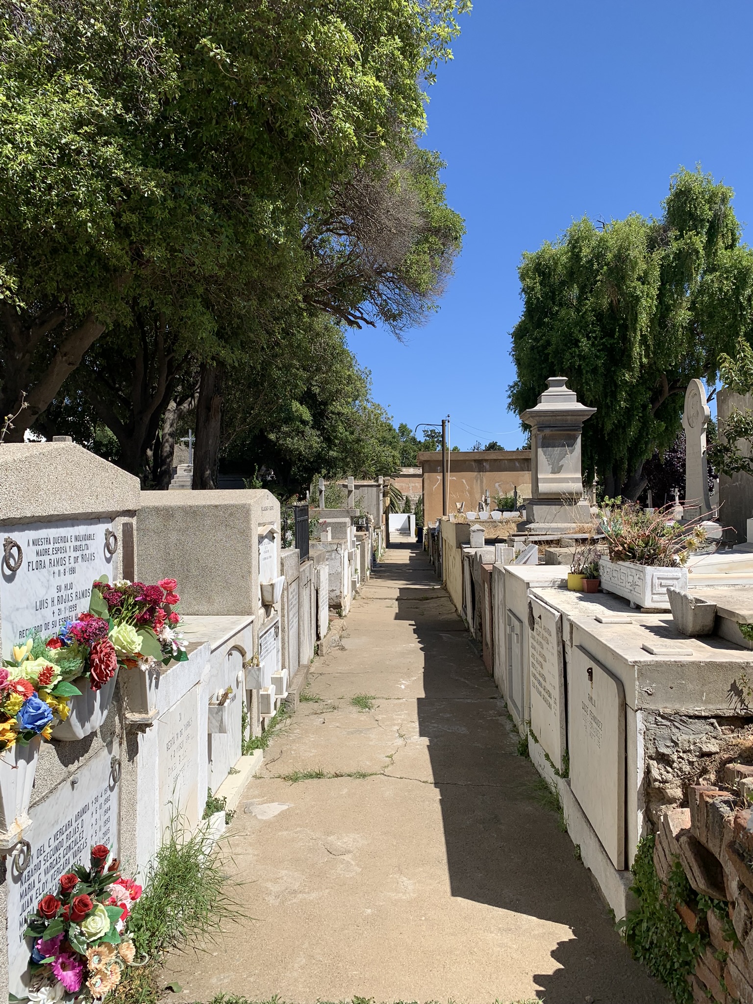Ceaup_ Funerario4