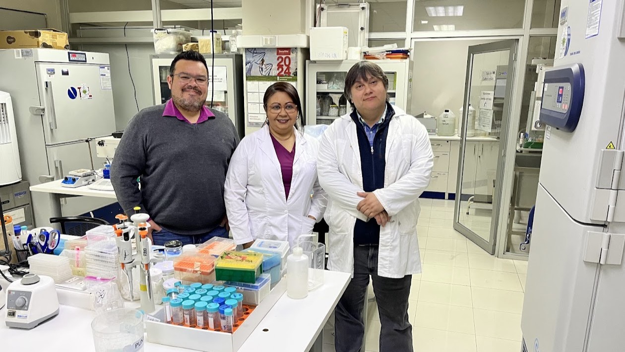Investigación - Marco Mellado, Manuel Valenzula y Rosy Brito