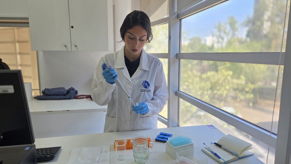 Investigación - Marco Mellado y alumnas 2